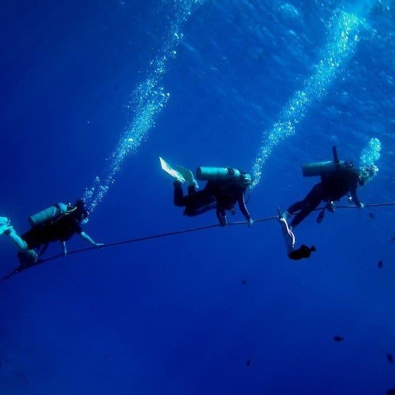 Especialidad PADI de Buceo en Corrientes (Drift Diver)