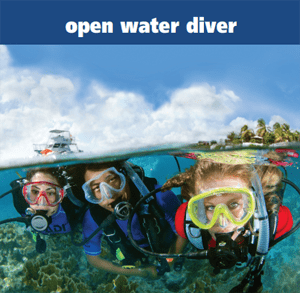 Picture of PADI OPEN WATER DIVER