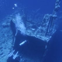 especialidad de pecios