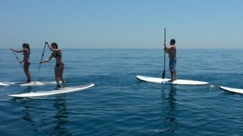 Paddle Surf