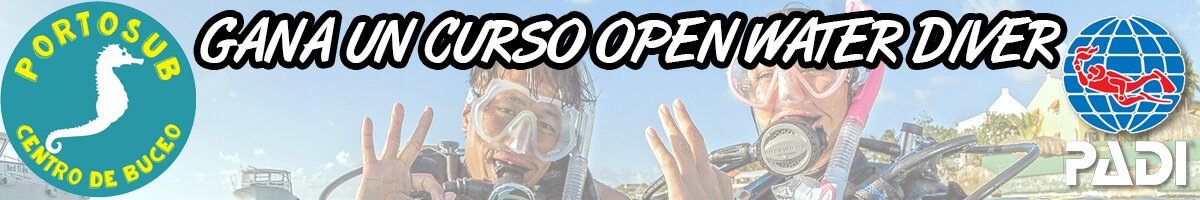 concurso web open water