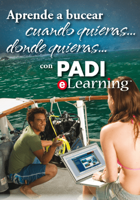 Online Diving Course