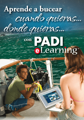 Online Diving Course Online Diving Course