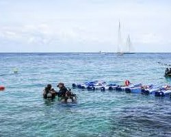 Buceo desde Costa y en Embarcación