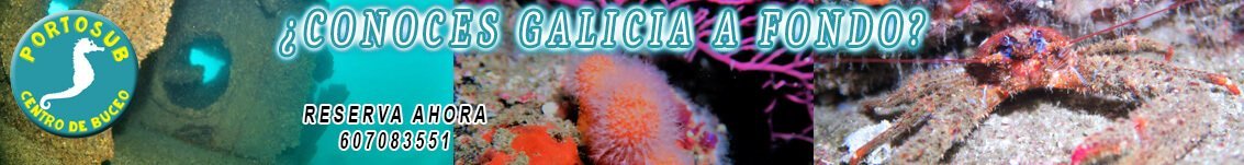 Portosub - Centro de Buceo en Portonovo Galicia