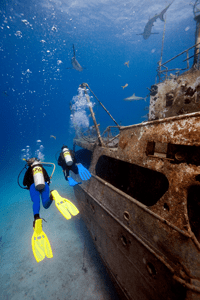 Curso Open Water Diver