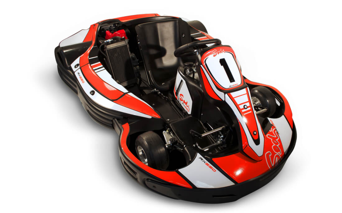 Imagen de RX250 25 Cv