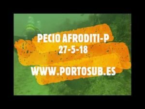 Afroditi-P