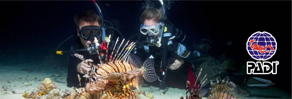 buzos con pez leon durante buceo noctrurno