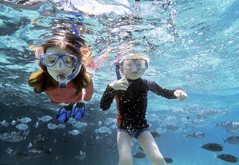 Snorkel Islas Cíes