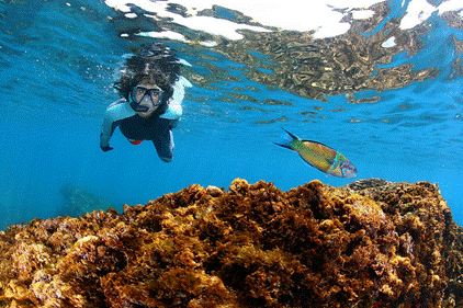 Snorkel Islas Cíes