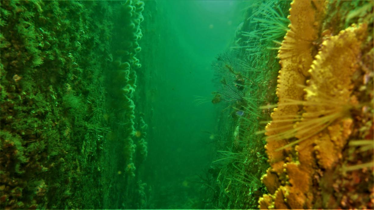 Isla de Ons (Igrexa)